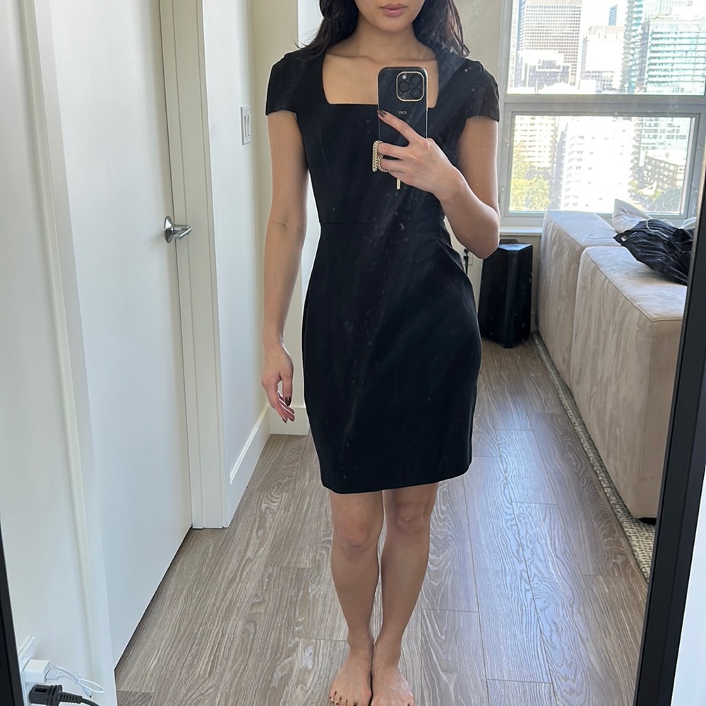 Banana Republic Fitted Cap Sleeve Dress